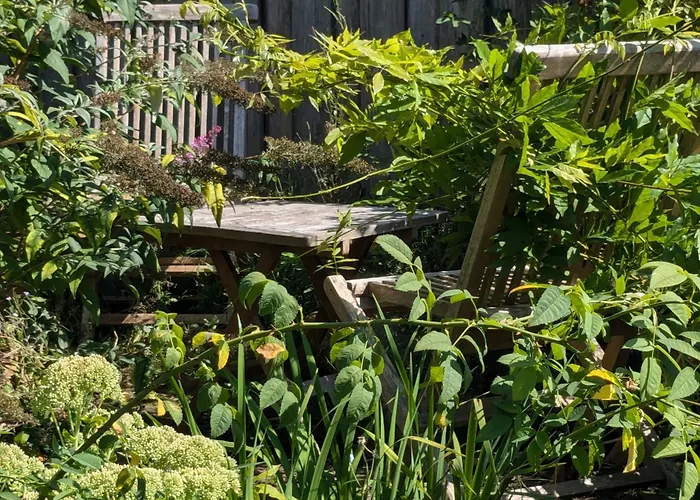 Bed & Breakfast Altmark - Haus Am Hang Mit Garten